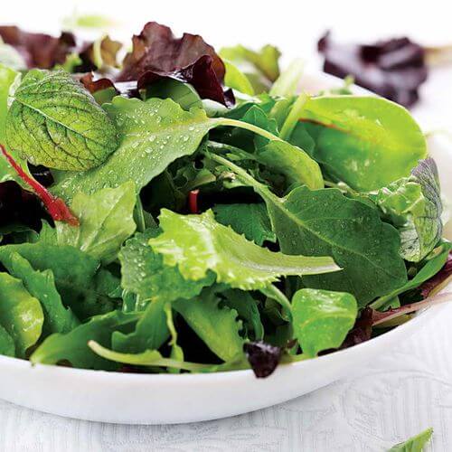Salad Bowl Mix organic greens